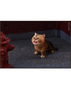 [Pre-order] JXK Studio 1/6 Scale Statue Fixed Pose Figure - JXK277-A/B/C Kitten