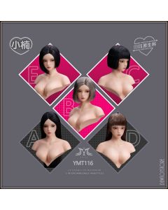 [Pre-order] YMTOYS YM Toys 1/6 Scale Action Figure - YMT116-A/B/C/D/E Xiaonan 小楠 Head Sculpt Only
