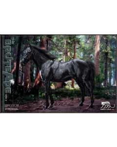 [Pre-order] Hell Cat HellCat Studio 1/6 Scale Action Figure - DYM202404C Ape Leader Version C Horse Only