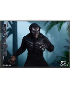 [Pre-order] Hell Cat HellCat Studio 1/6 Scale Action Figure - DYM202404B Ape Leader Version B