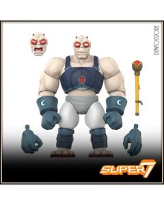 [Pre-order] Super7 Ultimates 7" 1/12 Scale Action Figure - SUP85764 ThunderCats Wave 14 - Red Eyes