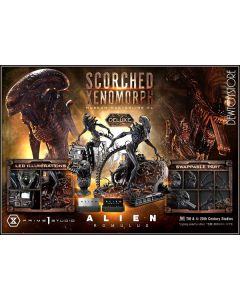 [Pre-order] Prime 1 Prime1 Studio Museum Masterline XL 1/3 Scale Statue Fixed Pose Figure - Alien: Romulus - Scorched Xenomorph DX Edition