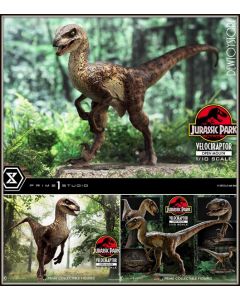 [Pre-order] Prime 1 Prime1 Studio 1/10 Scale Statue Fixed Pose Figure - PCFJP-07 Jurassic Park - Velociraptor