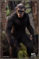 [Pre-order] Hell Cat HellCat Studio 1/6 Scale Action Figure - DYM202404A Ape Leader Version A