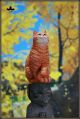 [Pre-order] JXK Studio 1/6 Scale Statue Fixed Pose Figure - JXK284-A/B The Cat of China's Forbidden City: Papa