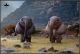 [Pre-order] JXK Studio 1/6 Scale Statue Fixed Pose Figure - JXK282-A/B Little Elephant in the Afternoon