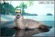 [Pre-order] JXK Studio 1/6 Scale Statue Fixed Pose Figure - JXK288-A/B/C/D Seal Cat Meow Group