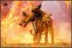 [Pre-order] JXK Studio 1/6 Scale Statue Fixed Pose Figure - JXK278-A/B/C Cerberus