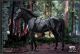 [Pre-order] Hell Cat HellCat Studio 1/6 Scale Action Figure - DYM202404C Ape Leader Version C Horse Only