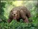 [Pre-order] Mety Toyz 1/12 Scale Action Figure - War Bear (Collector Edition)