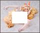 [Pre-order] Binding 1/4 Scale Statue Fixed Pose Figure - Original Character - Rinne Shirogane