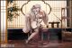 [Pre-order] Apex Toys 1/7 Scale Statue Fixed Pose Figure - Azur Lane - Formidable Still Illustration Ver. (With Bonus)