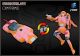 [Pre-order]  Takara Tomy X Hasbro - Transformers Missing Link - C-07 Arcee (Prototype)