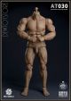 [IN STOCK] Worldbox 1/6 Scale Action Figure - AT030 Male Strong Muscular Durable Body