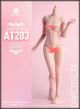 [RESTOCK Pre-order] Worldbox 1/6 Scale Action Figure - AT203-P AT203P Fair Skin (Body Only)