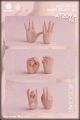 [IN STOCK] Worldbox 1/6 Scale Action Figure Accessories - AT209-A AT209A Set of Female hand Pale (3 Pairs)