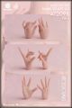 [IN STOCK] Worldbox 1/6 Scale Action Figure Accessories - AT209-B AT209B Set of Female hand Pale (3 Pairs)