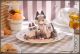 [Pre-order] Ribose Statue Fixed Pose Figure - DLC Series Shamu Neko Azuki-san wa Sekai no Chuushin - Tea Time Cats x Siamese Cat Azuki-san Friendship Set