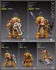 [RESTOCK Pre-order] Joy Toy JoyToy X Warhammer 40,000 40K 1/18 Scale Action Figure - JT2771 Primaris Space Marines Imperial Fists Bladeguard Veteran (Reissue)