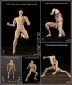 [Pre-order] Crazy Figure CFToys 1/12 Scale Action Figure - LT-003 LT003 Male Body