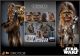 [Pre-order] Hot Toys 1/6 Scale Action Figure - MMS766 Star Wars: The Empire Strikes Back - Chewbacca with Disassembled C-3PO