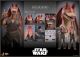 [Pre-order] Hot Toys 1/6 Scale Action Figure - MMS807 Star Wars: The Phantom Menace - Jar Jar Binks