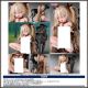 [Pre-order] Insight 1/4 Scale Statue Fixed Pose Figure - Nikkan Girl Nikkan Shoujo - Shujū Gyakuten Osanpo Anna