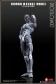 [Pre-order] Keepgoing Play Time Toys 玩朝玩具 1/12 Scale Action Figure - Human Muscle Model (Grey)