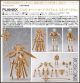 [Pre-order] Max Factory PLAMAX 1/12 Scale Girlpla Plamo Plastic Model Kit - GO-05 Godz Order - Overlord Gabriel Standard Ver.