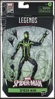 [IN STOCK] Hasbro Marvel Legends Series 6